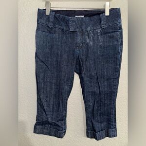 Banana Republic Dark Blue Denim Urban Capri